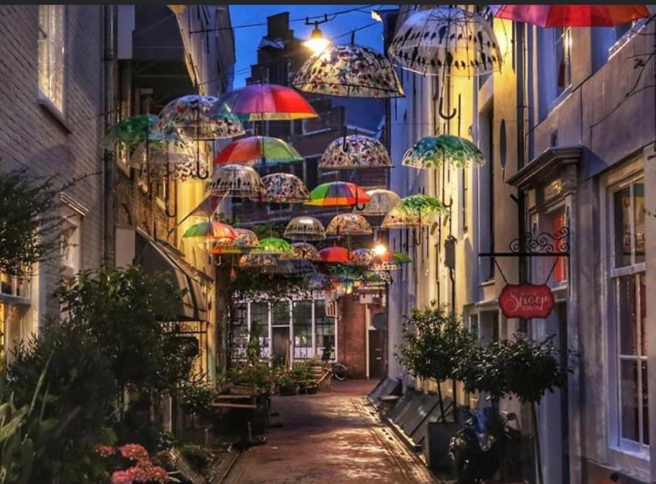 ميدلبورغ Silly'S Inn المظهر الخارجي الصورة